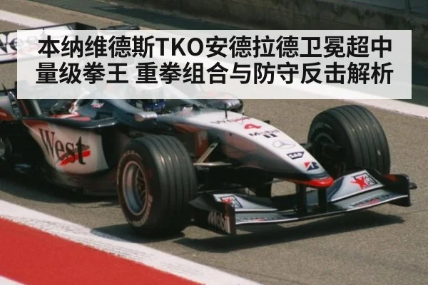 本纳维德斯TKO安德拉德卫冕超中量级拳王 重拳组合与防守反击解析