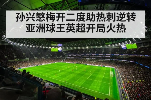 Tottenham Hotspur match