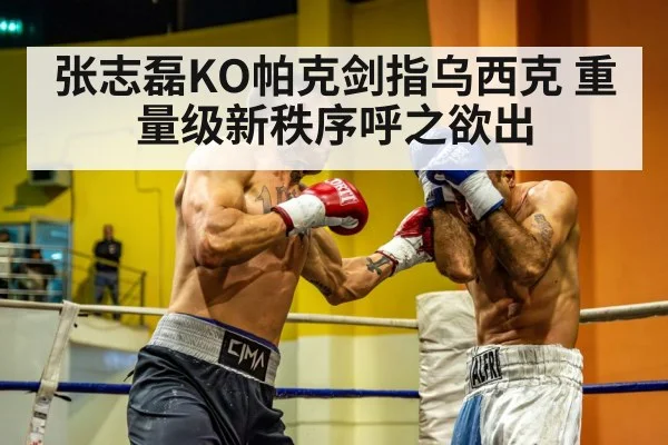 张志磊KO帕克剑指乌西克 重量级新秩序呼之欲出