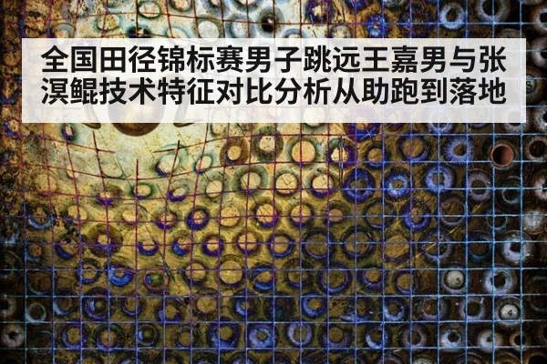 全国田径锦标赛男子跳远王嘉男与张溟鲲技术特征对比分析从助跑到落地