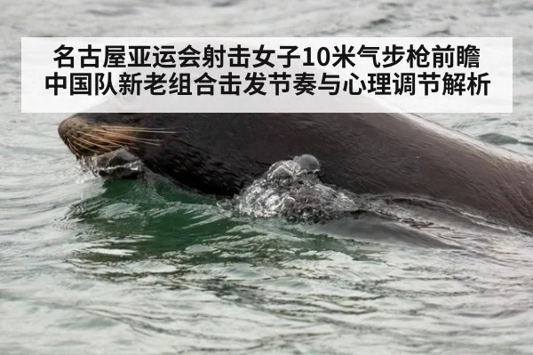 名古屋亚运会射击女子10米气步枪前瞻 中国队新老组合击发节奏与心理调节解析